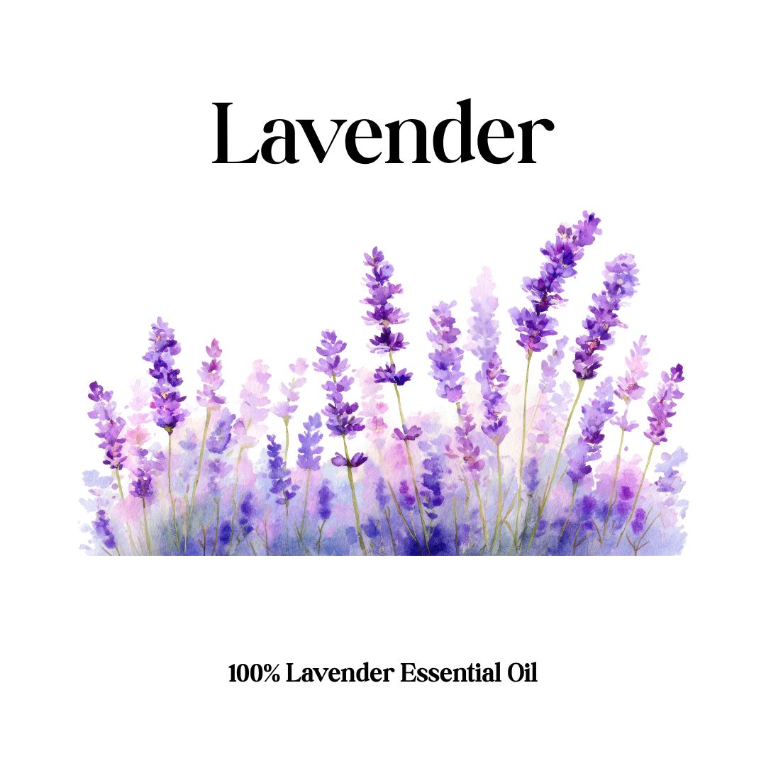 Lavender Fields Honey Soap
